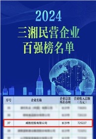 喜訊｜威勝控股上榜2024三湘民營企業百強榜單，排名第37位